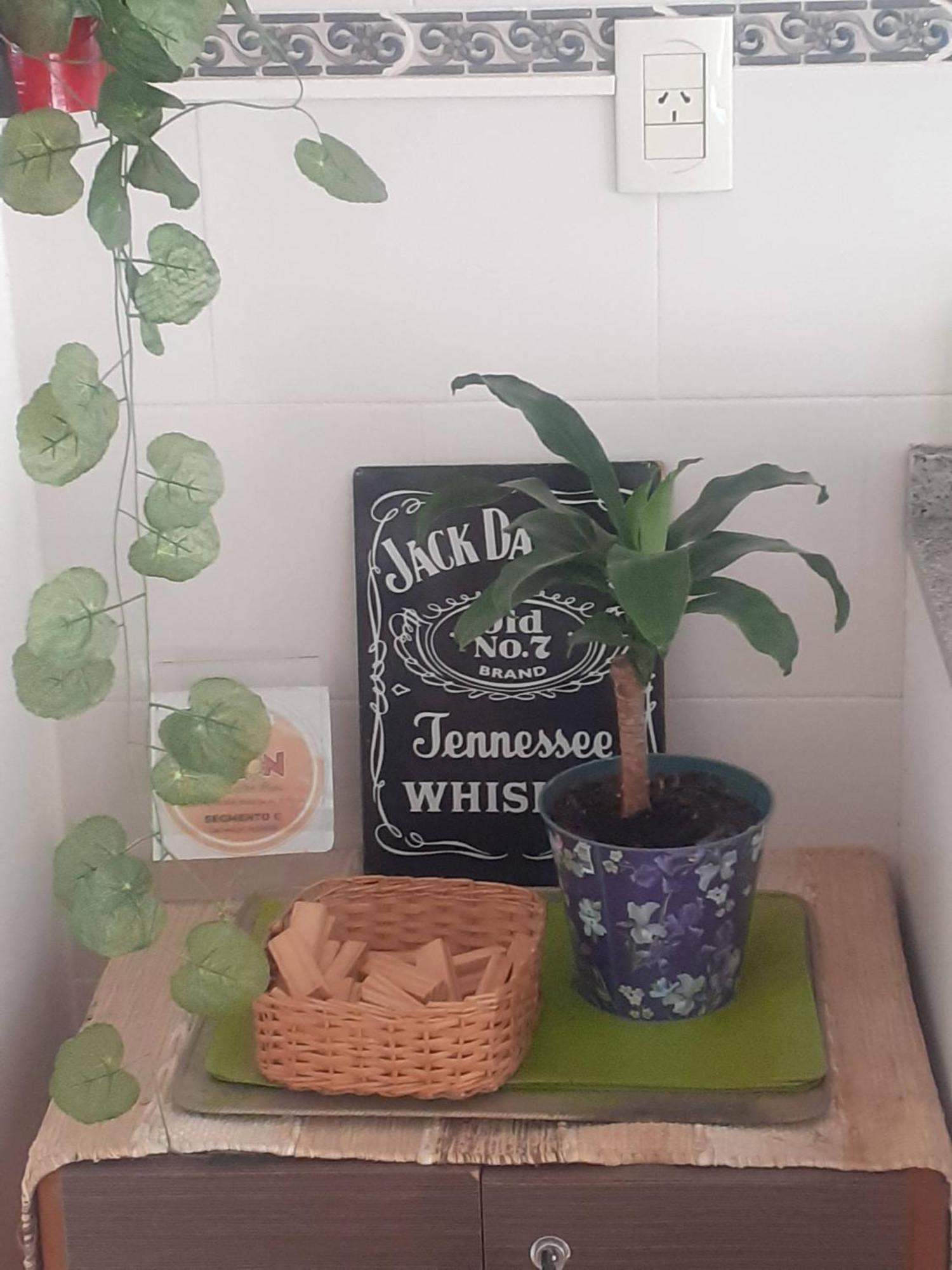 Apartamento Divino 1